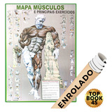 Poster Academia Músculo Exercício Treino Corpo Humano Mapa Medicina Enrolado Calistenia