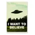Poster Cartaz Arquivo X I Want To Believe A - 60x90cm