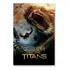 Poster Cartaz Fúria De Titãs C - 60x90cm