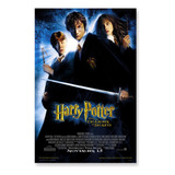 Poster Cartaz Harry Potter