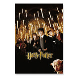 Poster Cartaz Harry Potter
