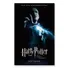 Poster Cartaz Harry Potter E A Ordem Da Fênix E - 30x45cm