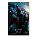 Poster Cartaz Harry Potter