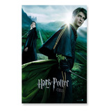 Poster Cartaz Harry Potter