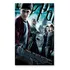 Poster Cartaz Harry Potter E O Enigma Do Príncipe A - 30x45