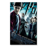 Poster Cartaz Harry Potter