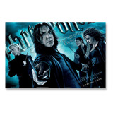 Poster Cartaz Harry Potter
