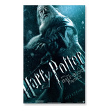 Poster Cartaz Harry Potter