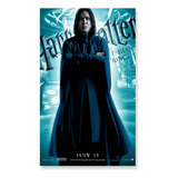 Poster Cartaz Harry Potter
