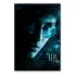 Poster Cartaz Harry Potter E O Enigma Do Príncipe F - 30x45