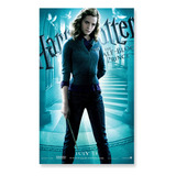 Poster Cartaz Harry Potter