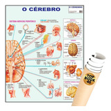 Medicina