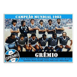Poster Do Grêmio Campeão