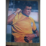 Poster Do Jogador Edinho Da Seleçao Brasileira