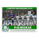 Poster Do Palmeiras Campeão Brasileiro 2018 20x30cm 