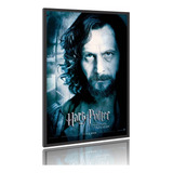 Poster Filme Harry Potter