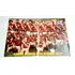 Pôster Flamengo Bi-campeão Carioca 78/79 Manchete Esportiva 