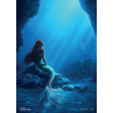 Sereia