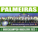 Poster Palmeiras Bi Campeao