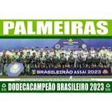 Poster Palmeiras Bi Campeão Brasileiro 2023