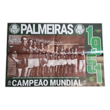 Poster Palmeiras Campeão Mundial 1951 Coleção Histórica