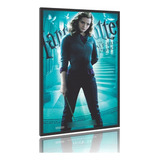 Poster Quadro Filme Harry