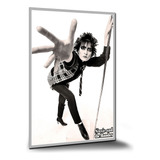 Poster Siouxsie And The