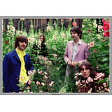 Poster The Beatles Rockposters