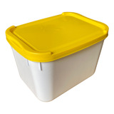 Pote P Sorvete Com Tampa Colorida 2 Litros 50 Und 