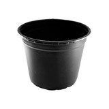 Horta