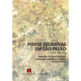 Povos Indígenas Em São Paulo, De Danaga, Amanda Cristina. Editora Fundação De Apoio Inst. Ao Desenv. Cient. E Tecnologico, Capa Mole Em Português, 2016