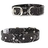 Power Pets Coleira Pedra Power Premium Aco N 3 Para Cães