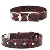 Power Pets Coleira Pedra Power Premium Scarlet N 2 Para Cães