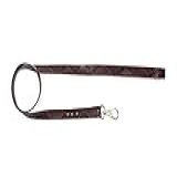 Power Pets Guia Pedra Power Premium 1 2 Metros Scarlet Para Cães