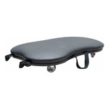 Prancha Orbital 360  Para Pilates   Arktus