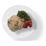 Prato Acrílico Refeição Redondo 22cm C 100un