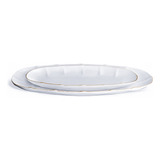 Prato Para Peixes Porcelana