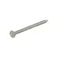 Prego Aço Inox 12x12 Com Cabeça   100 Un Inoxidável