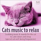 Prelude In Cd Major J S Bach Classical Music Rushing Brook For The Cat Mistress To Relax