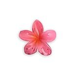 Presilha De Flor Para Cabelo Feminino Moda 2024 Prendedor De Cabelo Piranha Flor Cor Viva Forte Acessórios Para Cabelo Rosa 