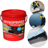 Dryko