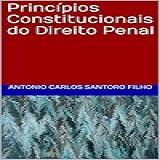 Principios Constitucionais Do Direito