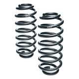 Pro kit Molas Eibach