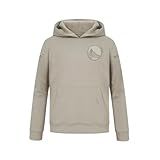 Pro Standard Moletom Big Boys NBA Golden State Warriors Neutral Pull Over Taupe M