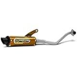 Pro Tork Escapamento EvolutionPro Esportivo Competition EvolutionPop 110 2016 Cromado Dourado