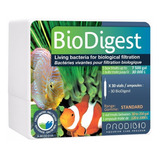 Prodibio Biodigest 20 Bilhões Bactérias Bio Digest 1 Ampola