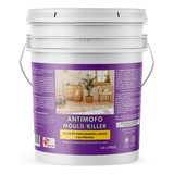 Produto Anti Mofo Verniz Incolor Mould Killer 3 6lt