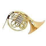 Profissional Trompa Francesa Trompa Francesa Profissional