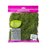 ProFlora -02200- Folha Preservada De Musgo- Verde Verdadeiro- Saco De 60 G