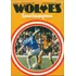 Programa Oficial Wolves X Southampton 1980 Futebol Ingles
